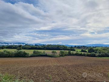 Azienda agricola 240 ha Firenze