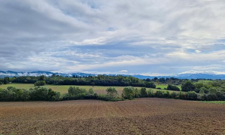 Azienda agricola 240 ha Firenze