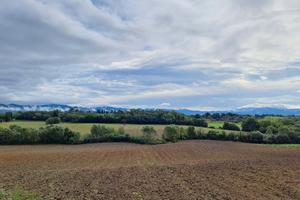 Azienda agricola 240 ha Firenze