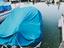 Immagine 6