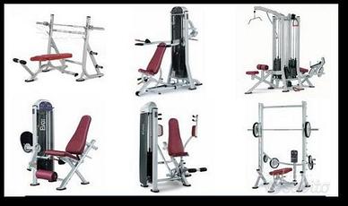 Svendita attrezzi professionali da Palestra