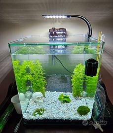 Acquario Blau Aquaristic 32 l + accessori