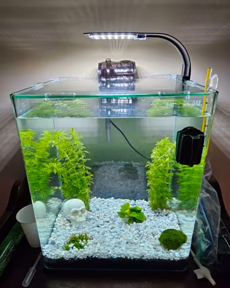 Acquario Blau Aquaristic 32 l + accessori