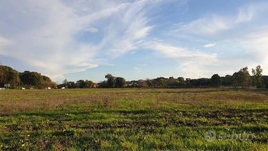 Terreno agricolo a Ardea