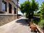 Immagine 24
