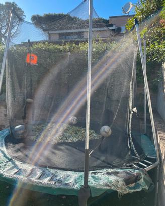 Trampolino da giardino