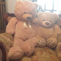 peluche: Orsetti in peluche