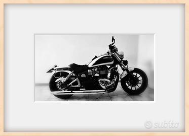 TRIUMPH AMERICA