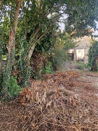 Terreno con rudere edificabile  zona Lonigo