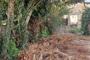 Terreno con rudere edificabile  zona Lonigo
