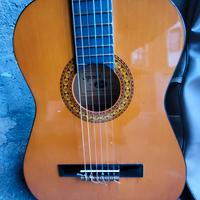 Chitarra Eko
