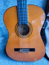 Chitarra Eko