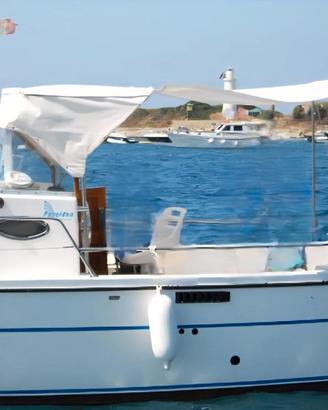 gozzo in vetroresina