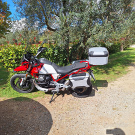 Perfetta v85tt anno 2021