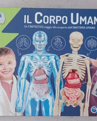Gioco in scatola Il corpo umano 
