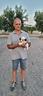 shih-tzu-
