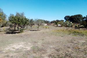 Terreno mq.4000 con casetta a Ploaghe