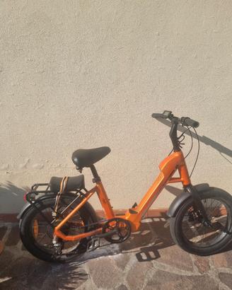 bicicletta elettrica 