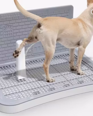 Lettiera per cani piccoli