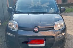 Auto Fiat PANDA