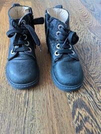 Anfibi Andanines numero 24