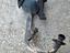 Immagine 1
