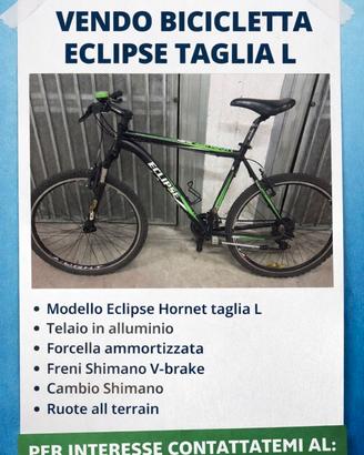 BICI RAMPICHINO DA UOMO