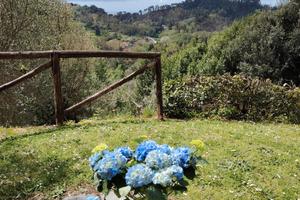 Rustico Lo Scarpone