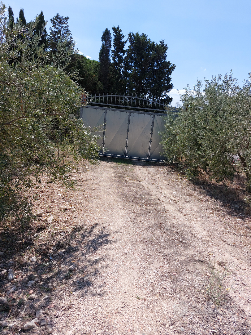 Terreno agricolo - Soleminis - Vista 3
