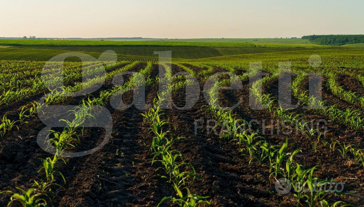 Terreno Agricolo Monselice [Cod. rif 3333013VRG] - Vista 4