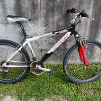bicicletta donna 26"