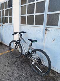 Bici bambino