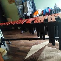 marimba vancore mod. PSM 1001
