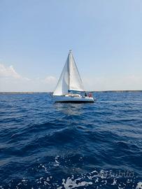 Barca a vela pronta a navigare