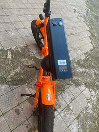 bicicletta elettrica 