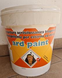 pittura da esterno