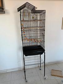 gabbia di uccelli 