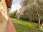 Immagine 16