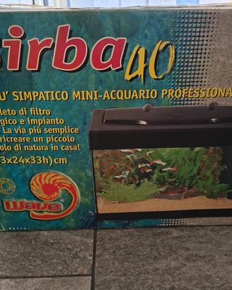 acquario