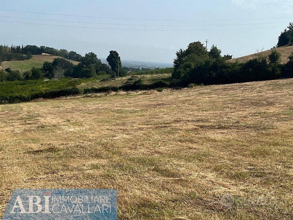 Terreno di 230000 m² a Imola - Vista 4
