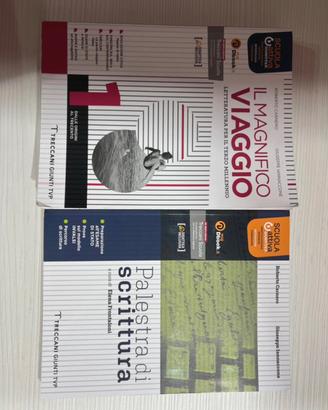 il magnifico viaggio 1+ palestra di scrittura