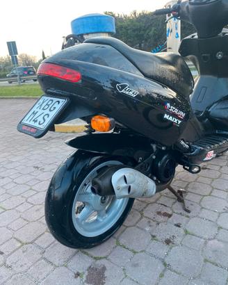 Benelli 491