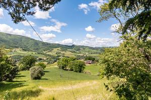 Casa vacanza-B&B-Località turistica