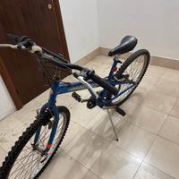 Bicicletta City Bike