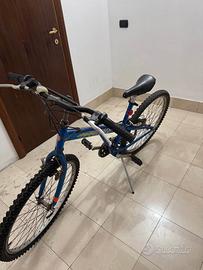 Bicicletta City Bike