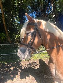 Mezza fida o quarto di fida