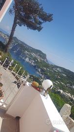 Chi ama la tranquillità a settembre cala feola