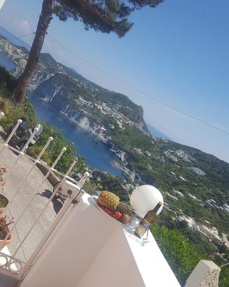 Chi ama la tranquillità a settembre cala feola