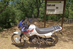 Honda dominator nx 650 asi