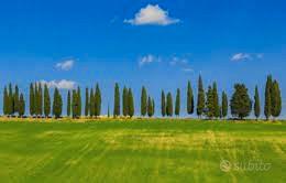 Borgo S Lorenzo villa mq 300 rimessa parco MQ 3500